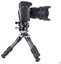 Leofoto Ranger LS-223CEX