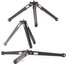 Leofoto statyw Mini MT-02+MBH-19