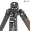 Leofoto Urban LX-224CT + Ballhead XB-32Q