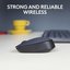 Logitech Wireless Mouse M170 - GREY - 2.4GHZ