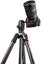Manfrotto Befree GT Carbon Alpha MKBFRTC4GTA-BH
