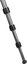 Manfrotto tripod Element Traveller Carbon Small MKELES5CF-BH