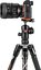 Manfrotto tripod kit Befree Advanced Alpha MKBFRLA-BH
