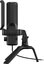 Natec | Microphone | GENESIS Radium 250 | Built-in microphone | Wired | Black