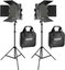 Neewer Bi-color 660 LED 2 lempų Apšvietimo Rinkinys 90095722
