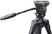 Nest Tripod WF-6627 + Ball Head