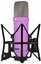 NT1 Signature Series Purple
