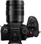 Panasonic Lumix GH7 + 12-60mm F/2.8-4.0 Leica DG Vario Elmarit ASPH POWER OIS