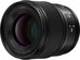 Panasonic Lumix S 100mm f/2.8 Macro Lens (Leica L)