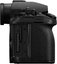 Panasonic Lumix S1RII body
