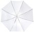 Caruba Paraplu Translucent Wit 100cm