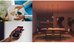 Philips Hue E WCA 806 A60 E27 3kit EU | E27 | 8 W | 16 million colours, White and colour light