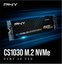 PNY SSD 1TB M.2 CS1030 M280CS1030-1TB-RB