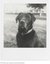POLAROID B&W FILM FOR SX-70