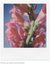 POLAROID COLOR FILM FOR SX-70