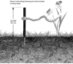 Wimberley PP 300 Plamp Stake