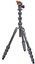 3 Legged Thing Pro 2.0 Albert Carbon tripod & AirHed Pro Grey