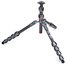 3 Legged Thing Pro 2.0 Leo Grey Carbon tripod