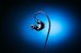 Razer Moray Gaming Earphones, Wired, Black