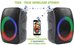 Rebeltec Bluetooth speaker Rebelt ec STAGE 300