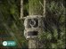 Reolink | 4K 4G Cellular Trail Camera with Live Streaming | Talon Series S130