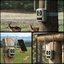 Reolink | 4K 4G Cellular Trail Camera with Live Streaming | Talon Series S130