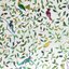 Segtuvas GOLDBUCH 33246 SPRING MELODY A4 21x30