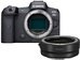 Canon EOS R5 body + adapter EF-EOS-R