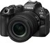 Canon EOS R6 Mark III + RF 24-105mm F4-7.1 IS STM