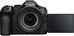 Canon EOS R6 Mark III + RF 24-105mm F4-7.1 IS STM