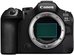 Canon EOS R6 Mark III body