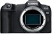 Canon EOS R8 + RF24-105 F4-7.1 IS STM