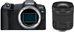 Canon EOS R8 + RF24-105 F4-7.1 IS STM