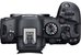 Canon R6 mark II + Canon RF 15-30mm f/4.5-6.3 IS STM