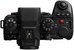 Panasonic Lumix S1II body