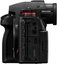 Panasonic Lumix S1RII body