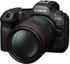 Canon RF 85mm F1.4L VCM
