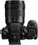 Panasonic LUMIX S 28-200mm F4-7.1 MACRO O.I.S.