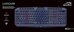 Speedlink keyboard Ludicium RGB Rainbow US (SL-670004-BK-US)