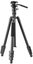 Vanguard Vesta GO 264 AV12