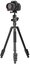 Vanguard Vesta GO 264AB
