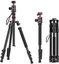 Ulanzi TT31 Claw Tripod