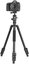 Vanguard Vesta GO 234AB