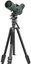 Vanguard Vesta GO 264 AV12