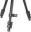 Vanguard Vesta GO 264 AV12