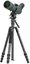 Vanguard Vesta GO 264 CV12