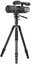 Vanguard Vesta GO 264 CV12