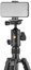 Vanguard Vesta GO 264CB