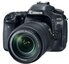 Veidrodinis fotoaparatas CANON EOS 80D + 18-135mm IS NANO USM