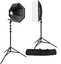 Westcott Rapid Box Switch 2 Light Round Head Speedlite Kit